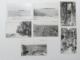 1000533■戦前 絵葉書■宮崎県　日向青島神社境内遠望 島全　樹 岩層 7枚