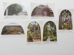 1000535■戦前 絵葉書■宮崎県　日向青島名所 青島神社境内御成道　ビロー林 奇石 6枚