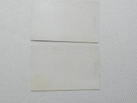 1000549■戦前 絵葉書■日本最初の領事館玉泉寺 伊豆下田港 唐人お吉物語 玉泉寺のお吉 安直楼開業 2枚