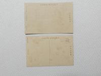 1000551■戦前 絵葉書■大礼紀念 2枚