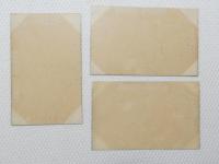 1000560■戦前 絵葉書■阿蘇数鹿流ヶ瀧 阿蘇山の牛馬牧場　 3枚 記念印 8.3.28印