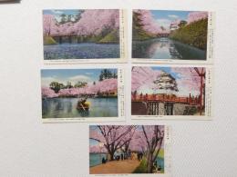 1000563■戦前 絵葉書■青森県　弘前公園の桜　天守閣 津軽城 花のトンネル 大橋附近 5枚