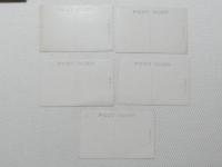 1000563■戦前 絵葉書■青森県　弘前公園の桜　天守閣 津軽城 花のトンネル 大橋附近 5枚