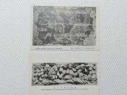 1000568■戦前 絵葉書■栃木県　東照宮陽明門天井探霊の龍 東照宮鹿の三猿 2枚