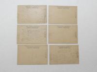 1000576■戦前 絵葉書■長野県　善光寺名勝　住生寺全景 仁王門 本堂 大本願 山門 6枚