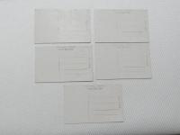 1000584■戦前 絵葉書■松江名所　城山の遠望 八重垣神社 湖畔天神沖の帰帆 嫁ヶ島 5枚(鳥居　舟）