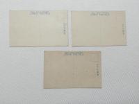 1000586■戦前 絵葉書■岐阜県 養老公園 全景 養老神社（菊水霊泉) 　千歳楼（皇太子殿下御座所)3枚