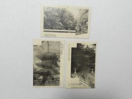 1000598■戦前 絵葉書■岐阜県　飛騨の高山　　招魂社池岬の桜 医王山国分寺 東照宮 3枚　ピン穴