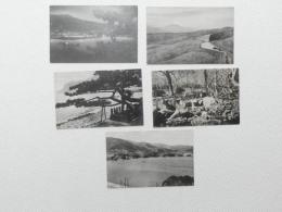 1000602■戦前 絵葉書■静岡県　熱海　多賀全景 熱海温泉夜景 熱海梅園 十国峠 熱海金色夜の碑 5枚