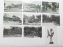 1000612■戦前 絵葉書■京都 東本願寺 西本願寺 金閣寺陸舟松 鳳凰 9枚　数枚ピン穴