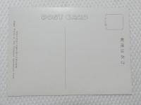 1000621■絵葉書■トンボー 七色の光彩に活動を続ける夜の空港 (航空機 旅客機)