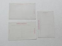 1000635■戦前 絵葉書■白濱 白濱小唄 白濱海水浴場  御幸道路と円月島 海中の噴水銀砂場 ハマユウの郡生　白崎温泉より白濱を望む3枚