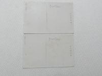 1000640■戦前 絵葉書■奈良県 原神宮御社殿全景 　橿原神宮南御門 2枚