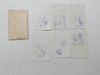 1000660■戦前 絵葉書■徳島県　祖谷渓麗観 6枚 袋つき 一字四水発電所附近 他