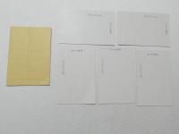 1000701■戦前 絵葉書■中川淳庵先生 記念 百五十年祭 5枚 袋つき