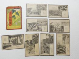 1000702■戦前 絵葉書■日向 青島 植物集 8枚 袋つき