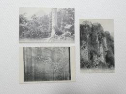 1000718■戦前 絵葉書■長野県 戸隠山高妻山 戸隠山中社の大上猿ヶ暁齋の筆 3枚