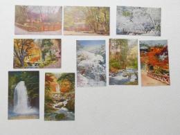 1000724■戦前 絵葉書■大阪府　箕面公園 9枚