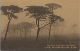 1000725■戦前 絵葉書■長野県　自然の美、翠松風趣を添ふ霧島ヶ原の佳景