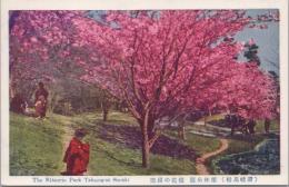 1000732■戦前 絵葉書■香川県　讃岐高松　栗林公園 桜花の満開