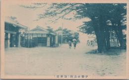 1000733■戦前 絵葉書■三重県　伊勢香良洲 海岸通 (人力車 女性 日傘 大木)