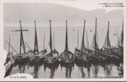 1000747■戦前 絵葉書■和歌山 新和歌浦 漁船の群