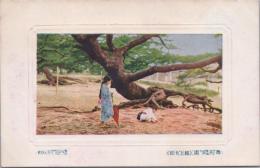 1000749■戦前 絵葉書■兵庫県　舞子公園　根上り松　(子供 日傘)