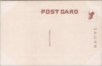 1000749■戦前 絵葉書■兵庫県　舞子公園　根上り松　(子供 日傘)