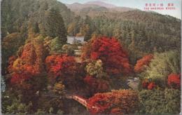 1000753■戦前 絵葉書■京都　槇ノ尾全景