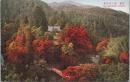 1000753■戦前 絵葉書■京都　槇ノ尾全景
