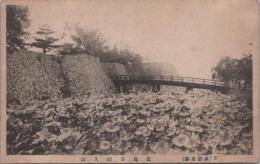 1000760■戦前 絵葉書■長野県 諏訪名勝 高嶋公園入口(橋 石垣)