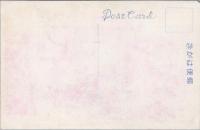 1000771■戦前 絵葉書■奈良 鹿守と群鹿