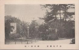 1000777■戦前 絵葉書■香川県　金刃比羅宮　御手植ノ松