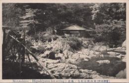1000790■戦前 絵葉書■福島県 会津名所　東山温泉松島の風景(建物 家)　