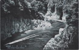 1000792■戦前 絵葉書■紀伊瀞渓　下瀞之筏