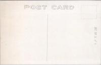 1000796■戦前 絵葉書■青森 弘前公園の桜　獅子舞 (弘前城)