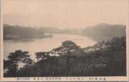 1000803■戦前 絵葉書■静岡県 州館山寺 大草山より　御料理旅館 山水館