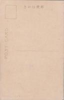 1000814■戦前 絵葉書■三重県　尾鷲新道の桜