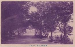 1000815■戦前 絵葉書■三重県 伊勢加良洲　紅葉