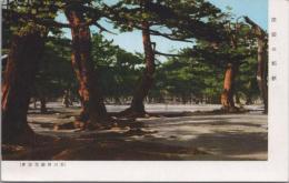 1000827■戦前 絵葉書■香川県　津田の松原