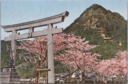 1000828■戦前 絵葉書■滋賀県 太郎坊宮　阿賀神社（桜　鳥居 山)