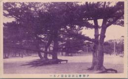 1000857■戦前 絵葉書■三重 伊勢香良洲浦公園
