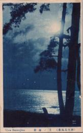 1000875■戦前 絵葉書■静岡 天島風景　月の海岸　