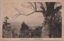 1000877■戦前 絵葉書■三重県　伊勢朝熊岳より汐合川