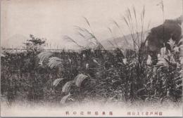 1000890■戦前 絵葉書■長野 信州戸倉と上山田　温泉場附近　秋