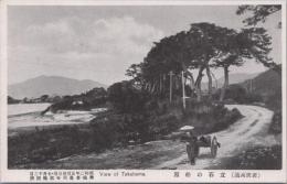 1000895■戦前 絵葉書■福井 若狭高浜 立石の松原（荷車）