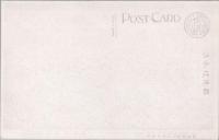 1000895■戦前 絵葉書■福井 若狭高浜 立石の松原（荷車）