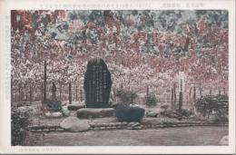 1000905■戦前 絵葉書■明治天皇　葡萄御歌　お手植葡萄樹7本の光栄ある宮崎葡萄園