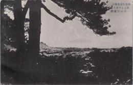 1000934■戦前 絵葉書■神奈川 鎌倉要山 香風園 頂上よち見た 大島の墳煙