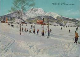 1000949■絵葉書■妙高、池の平温泉 一本松スキー場